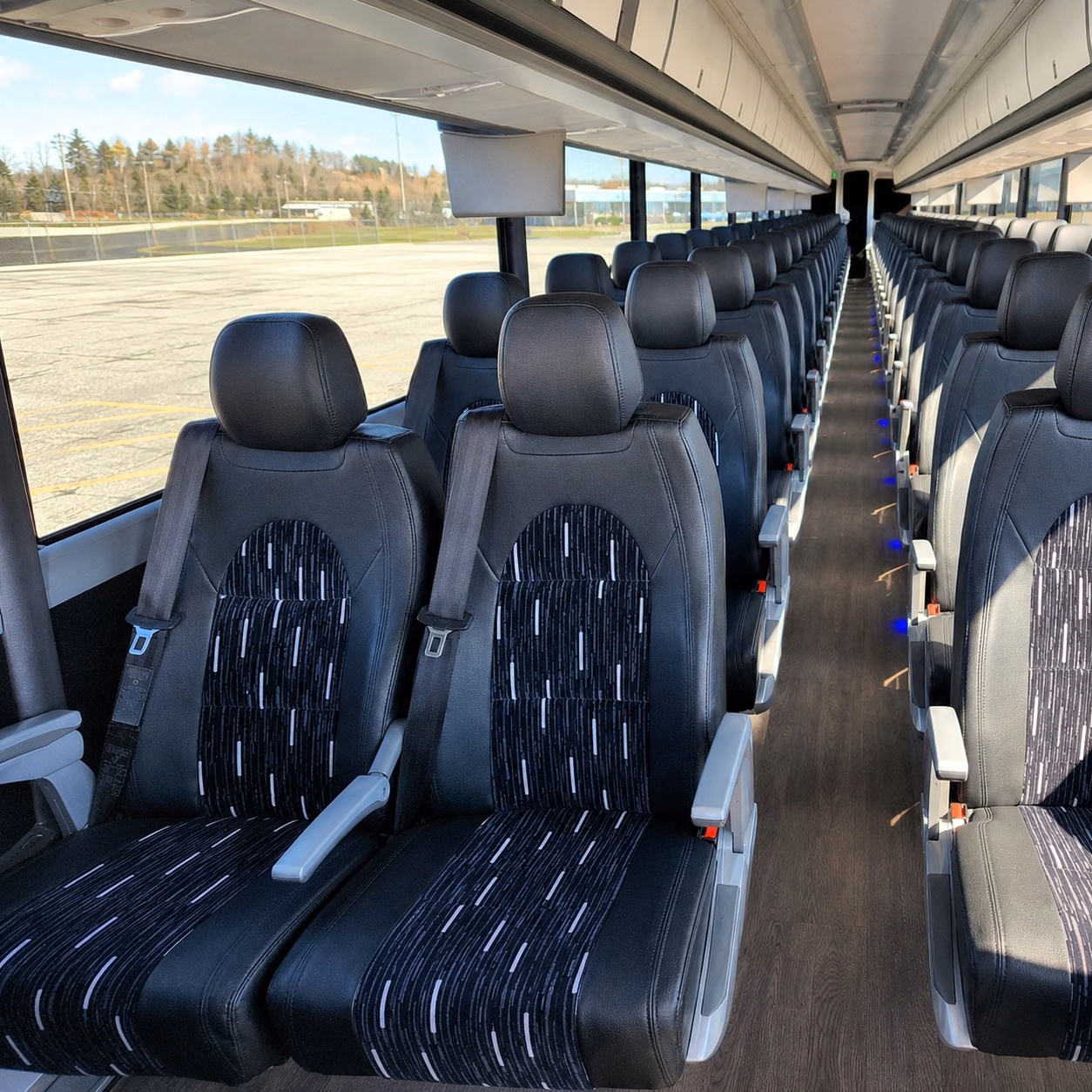 compare buses in minutes not days